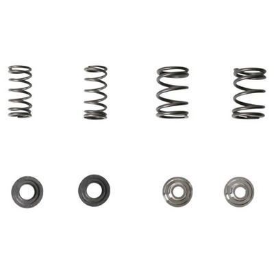 Kibblewhite Precision Valve Spring Kit - 30-4021