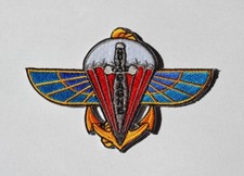 2 RPIMA INSIGNE TISSU