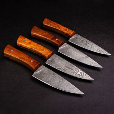 Professional Damascus Steak Knives High Quality Kitchen Knife Set for Chefs home