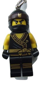cole the lego ninjago movie