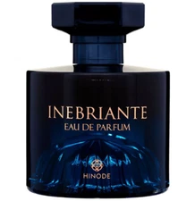 Brazilian Inebriante Eau de Parfum Male Perfume 100ml - Hinode Original