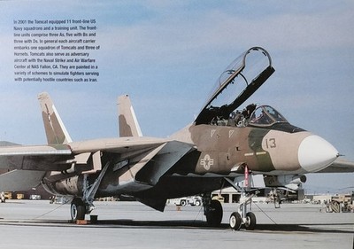 Grumman F-14 F 14 F14 Tomcat Jet Plane Picture Aircraft Aviation Original 