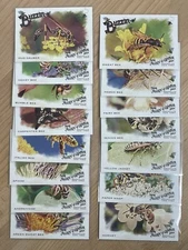 2024 Topps Allen & Ginter Buzzin’ Bees COMPLETE (15) Card Insert Set!