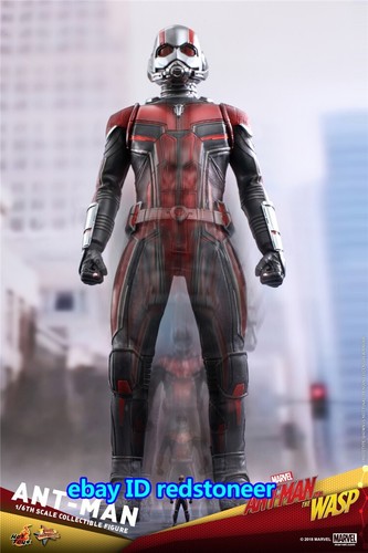 HotToys Paul Rudd《Ant-Man and the Wasp》1/6 Scale Action Figure Model Collection - Picture 12 of 13