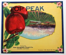 Original TOP PEAK apple crate label Redlands, California San Gorgonio WHOOPS