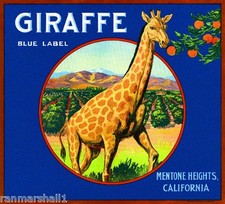 Mentone Valley San Bernardino Giraffe Orange Citrus Fruit Crate Label Art Print