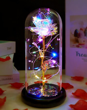 Valentines Day Rose Gifts for Her, Birthday Gifts for Women, Eternal Galaxy C...