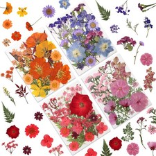 80 Pcs Dried Pressed Flowers for Crafts, Real Natural Dried Pressed Flowers i...