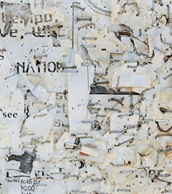 Mitch Epstein: Property Rights by Mitch Epstein, Susan Bell, ... - - Image 4