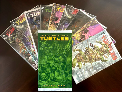 Teenage Mutant Ninja Turtles #13 Cover Select: CVR A-F blind bag, RI 25-100