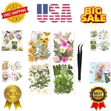 Pressed Flowers for Crafts Resin Dried Flower Bulk White Natural Dried Wildfl...