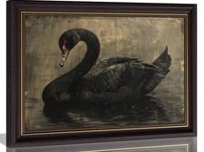 Framed Swan Canvas Wall Art Vintage Grace Black Swan Painting Picture Wall De...
