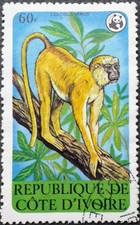 Elfenbeinküste 1976 -Schutz der Wildtiere- MiNr. CI 621 gestempelt mit Falz