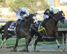 AUTHENTIC & TIZ THE LAW BATTLE 2020 KENTUCKY ...