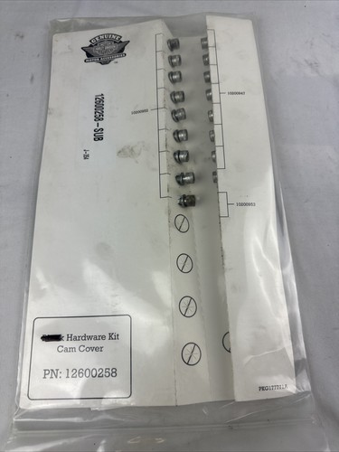 HARLEY DAVIDSON GENUINE CAM COVER HARDWARE NOT BLACK 12600258 - 第 1/5 張圖片