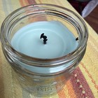 Bath & Body Works PEAR CREME BRULEE Scented 1-Wick Candle — photo 2