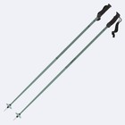 2026 Atomic Cloud Ski Poles - AJ5005630