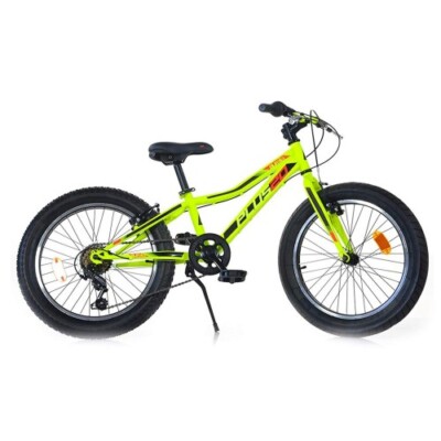 Bicicletta Mountain Bike Ruota 20 Pollici da Ragazzo Uomo Bici