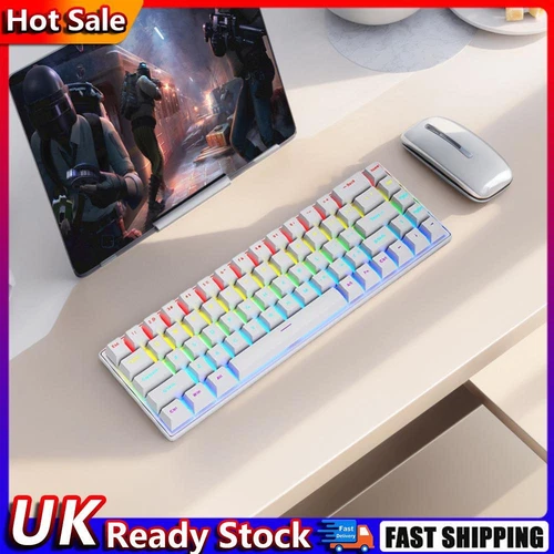 USB-C Wired Mechanical Gaming Keyboard 68 Keys RGB Computer Keyboard (White) Hot