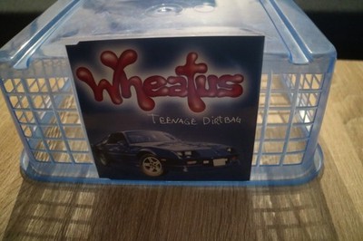 Teenage Dirtbag von Wheatus | CD | Zustand gut