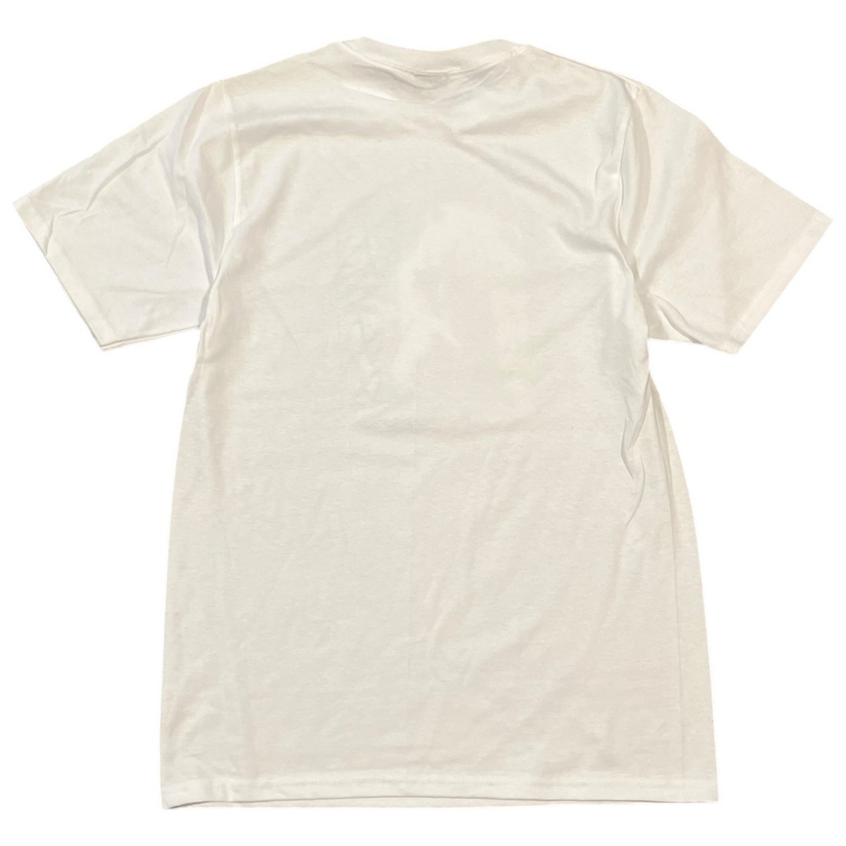 トップス stussy LAURA TEE M size Rare!! Vintage 00's STUSSY LAURA Compared to What Photo Tee