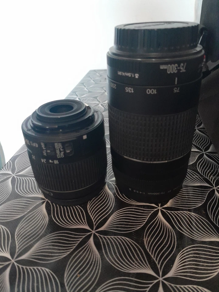 Canon EOS 2000D, photo 2 sur 2
