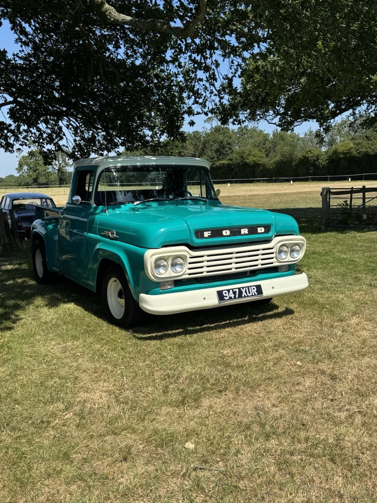 1959 Ford F100 Pickup