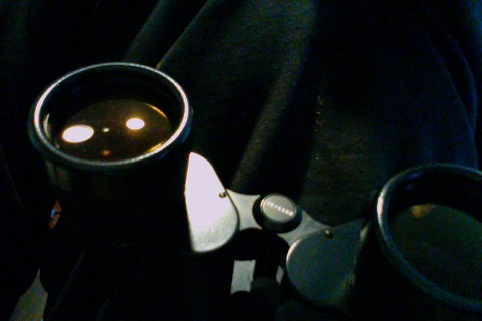 Carl Zeiss Jena "Binoculares 7 X 50W (Gran Angular) Jenoptem" Multi Recubrimiento + Estuche Foto 2 de 4