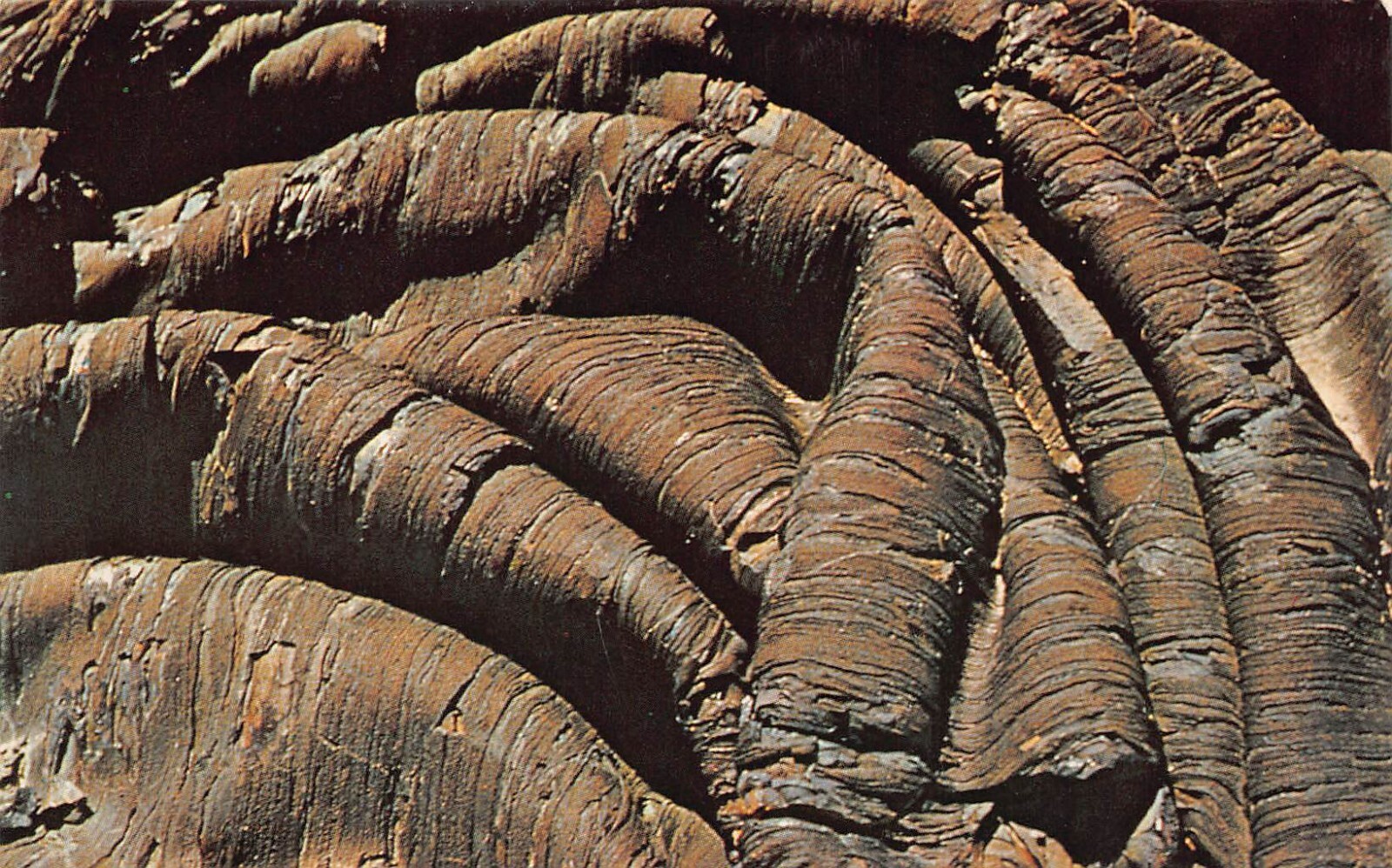 Vtg Postcard 1960s Arco Carey ID Idaho Craters of the Moon Lava North