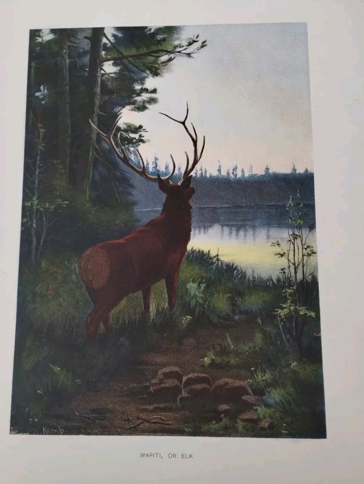 Picture 5 of 24