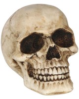 Kleiner Totenkopf Als Halloween Deko 8Cm