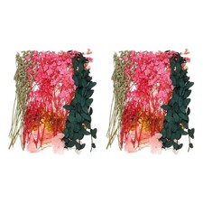 2 Sets Natural Dried Flower Set, Dried Pressed Flowers Pink 