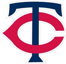 (NOT A PATCH) Minnesota Twins HTV Heat Press Transfer Vinyl Iron On