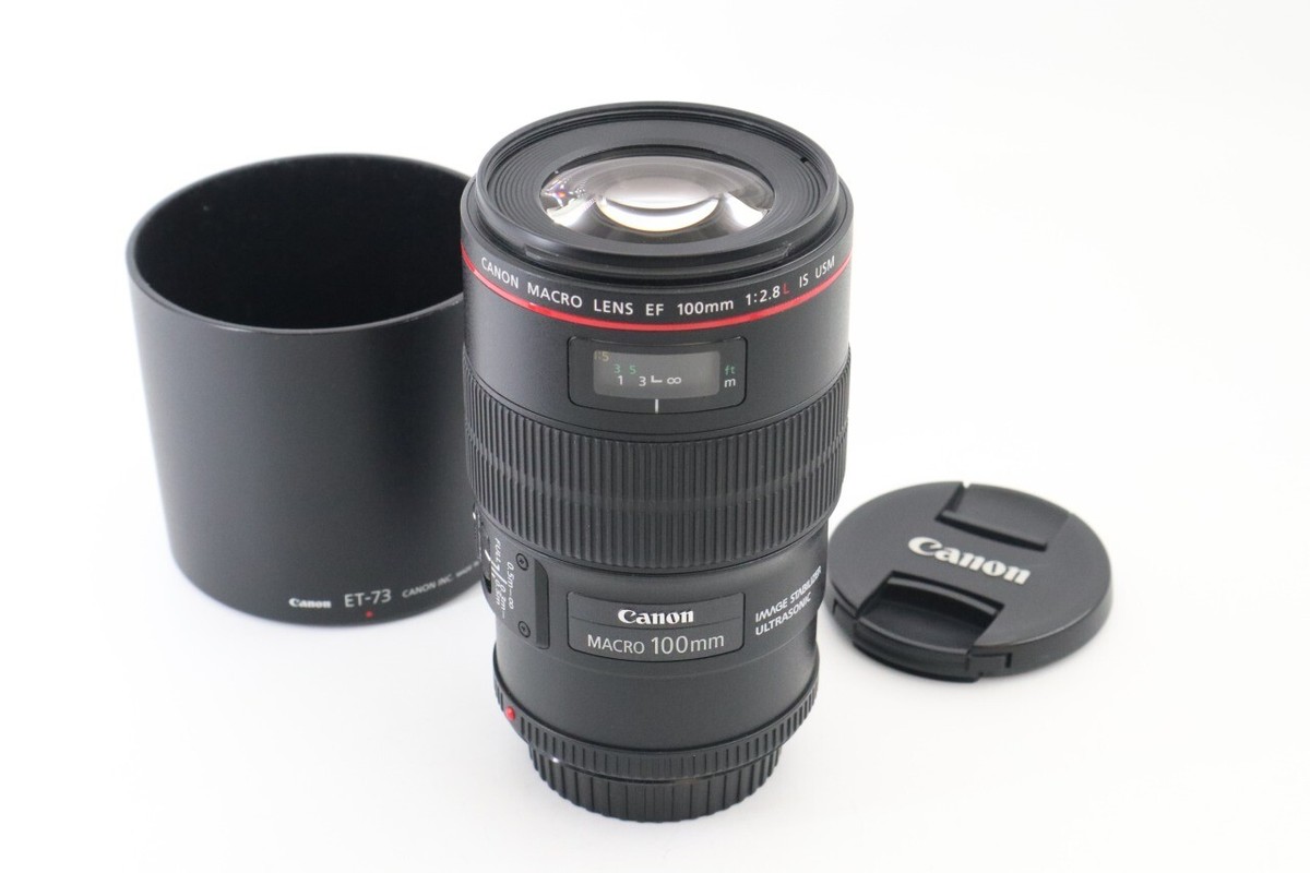 美品 Canon EF 100mm f2.8 Macro Canon EF 100mm f/2.8 Macro USM Lens for sale online | eBay