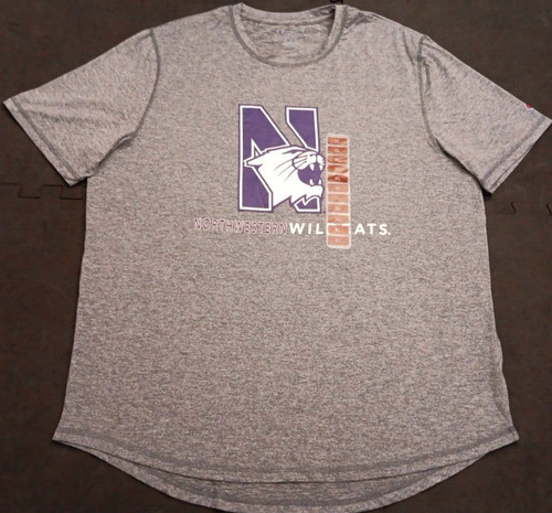 NWT XL Champion Blue Heather Northwestern Wildcats Graphic College T Shirt New
