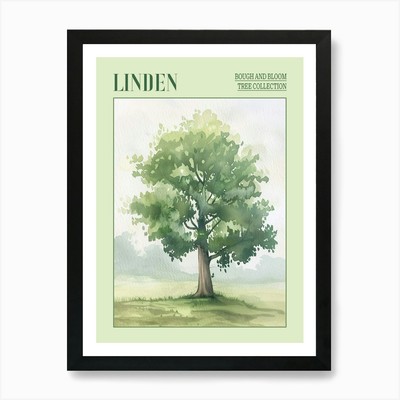 Linden Tree Atmospheric Watercolour Framed Wall Art Poster Canvas Print Picture