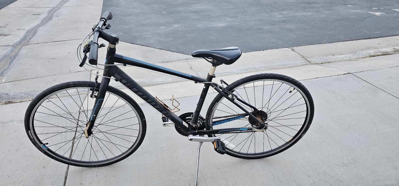 professional bicycle