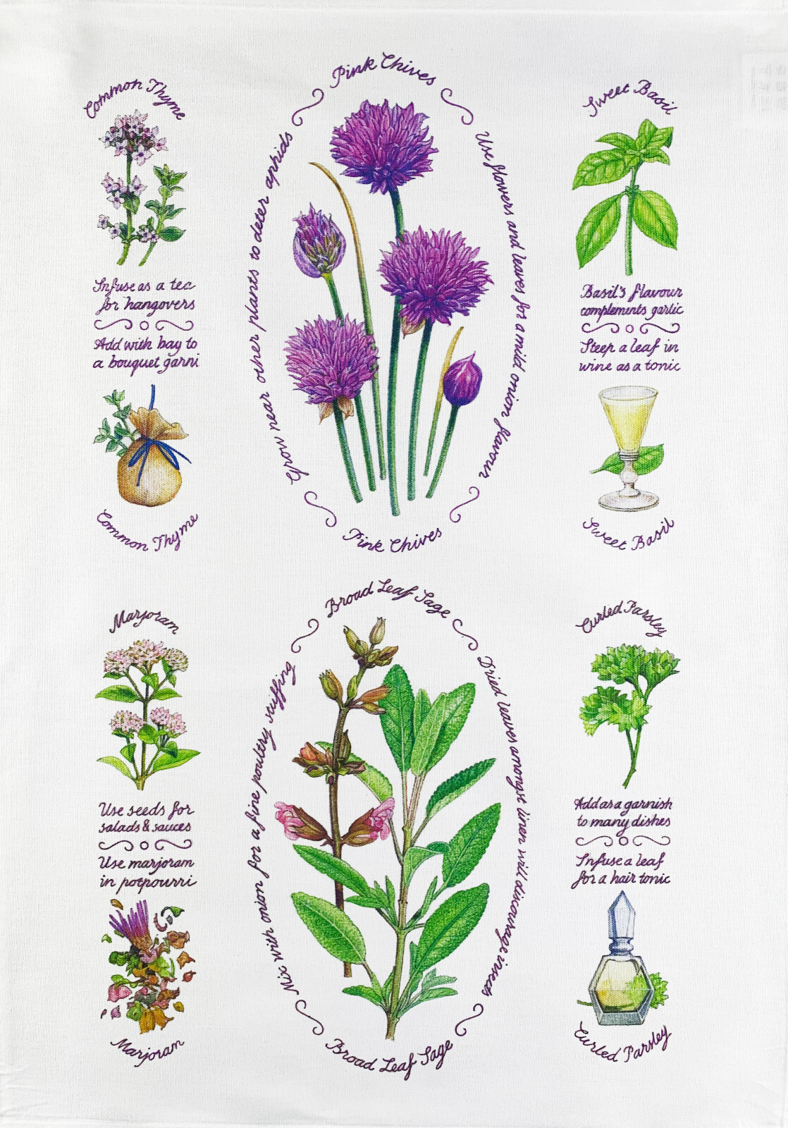 Herbs and Chives Tea Towel,  machine washable, cotton, hand drawn
