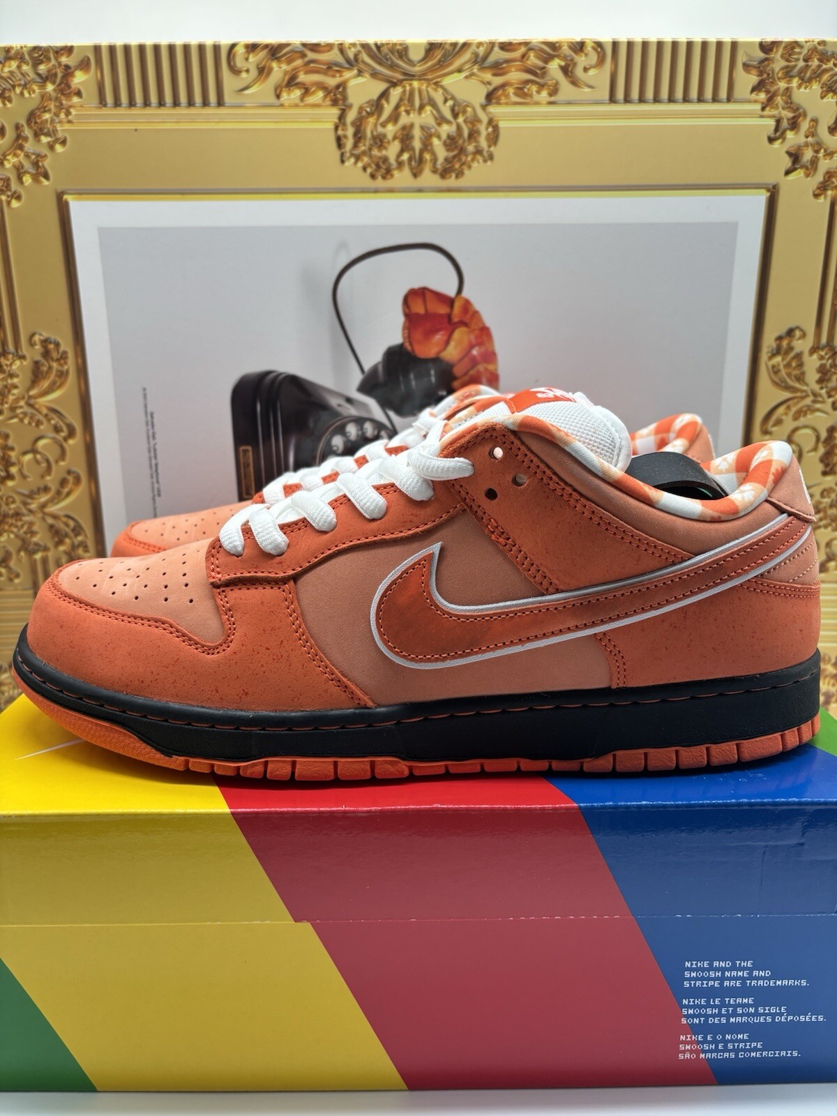 コンセプツ × ナイキ SB ダンク ロー SP 