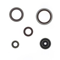 Parolio Motordichtsatz athena FüR Beta RR 250/300 13-25 2T Racing