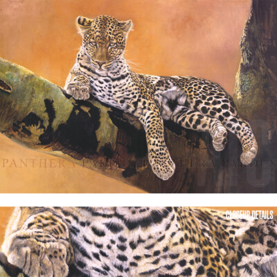 39W''x27H'' LEOPARD DU SERENGETI by DANIELLE BECK -GENUS PANTHER CHOICES of CANVAS