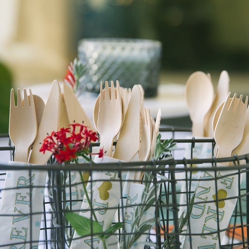 HUJI Eco-friendly Disposable Wooden Forks Set Silverware (50 ct., Forks) - Picture 4 of 8