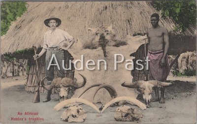 Vintage afrikanische Großwildjäger Trophäe Postkarte Sallo Epstein Durban