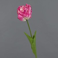 Artplants Kunst Papageientulpe Liomara, Rosa-Pink, 65Cm