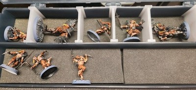 WarCry Corvis Cabal Warband
