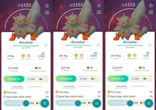 Arcanine Hisui XXL 3,20 - 3,50 m | Per mostre | Tr-de Go✨