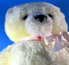 Bild 9 von 12