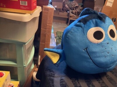 Squishmallows Dory Disney Pixar 10  Blue Fish Finding Nemo Plush 2022 Kelly Toys