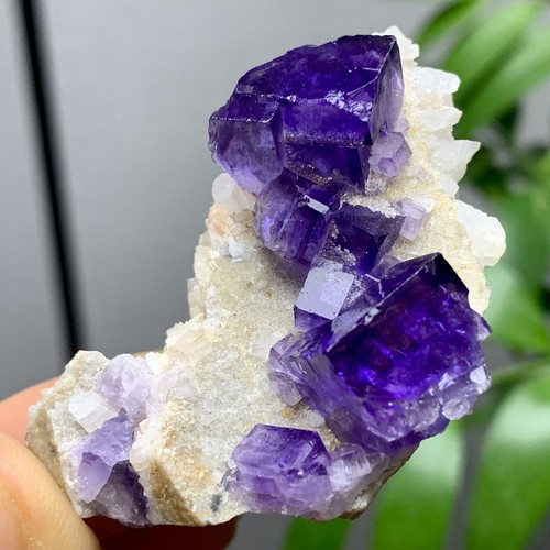 36G Natürliche Transparente Lila Kubische Fluorit Mineral Probe Innere Mongolei - Bild 4 von 21