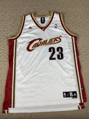 lebron james rookie jersey